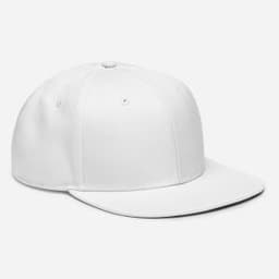 Otto Cap — Snapback | Otto Cap 125-978